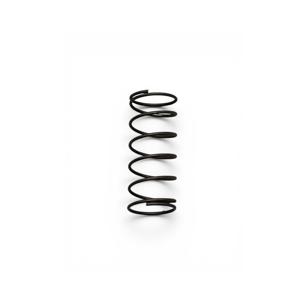 Closure Jumbo Springs 6000.0757/0316 Rahrbach