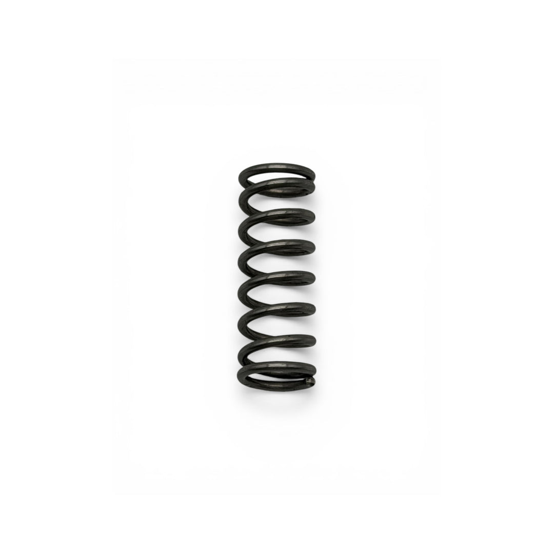Closure Jumbo Springs 6000.0757/0316 Rahrbach