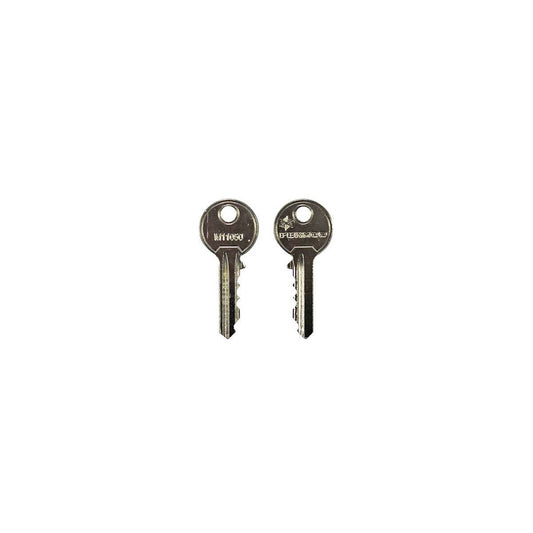 Replacement key 011050 Fermod