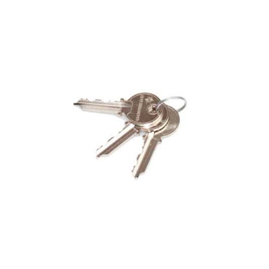 Replacement key 041256 / 141256 Fermod